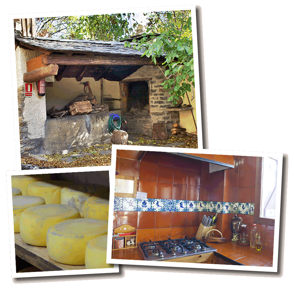1-kochen